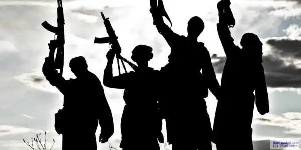 Stop threatening to use force on militants – Group urges FG